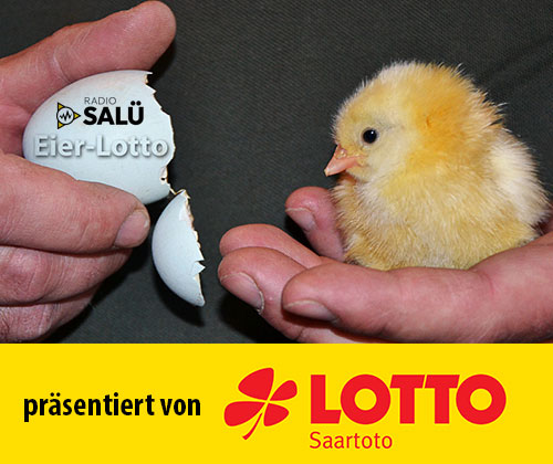 Eier-Lotto