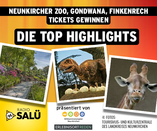 DIE TOP HIGHLIGHTS