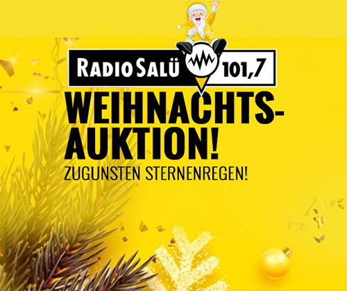 WEIHNACHTSAUKTION